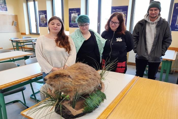 Bild Wildtiermanagement - Abt. 4: Der Biber