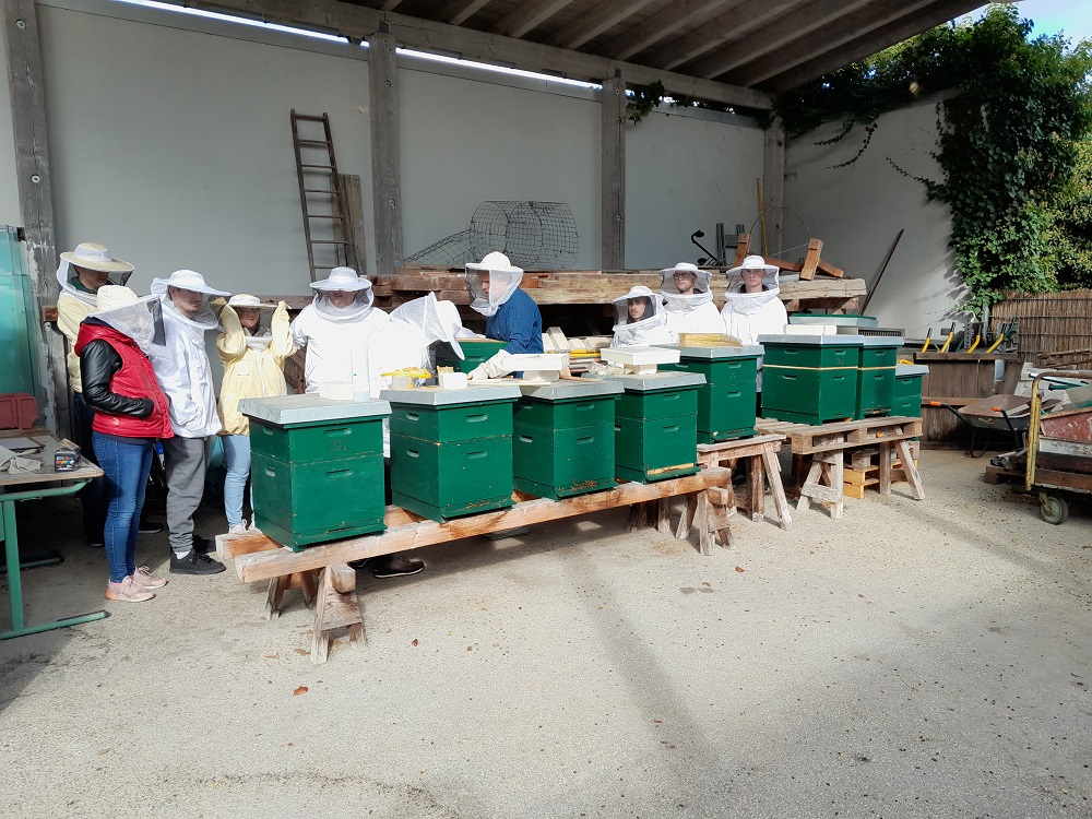 Winterkontrolle der Bienenstöcke